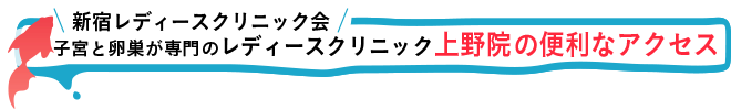 新宿レディースクリニック会 子宮と卵巣が専門のレディースクリニック 上野院の便利なアクセス