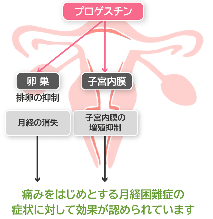 プロゲスチン