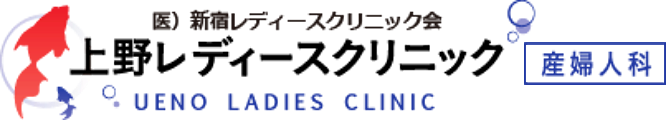 医）新宿レディースクリニック会 上野レディースクリニック 産婦人科